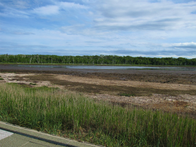 d0031853_5524150.jpg