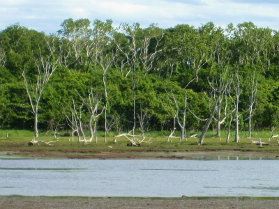 d0031853_5525954.jpg
