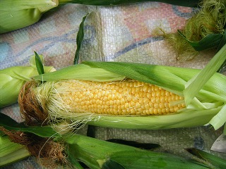 a0026567_7442661.jpg