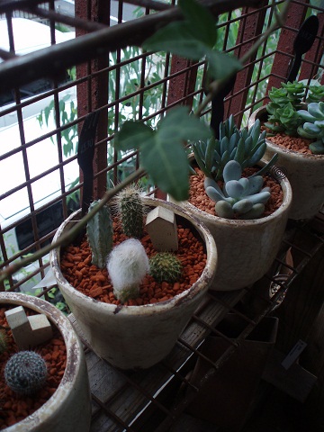c0214272_22531481.jpg