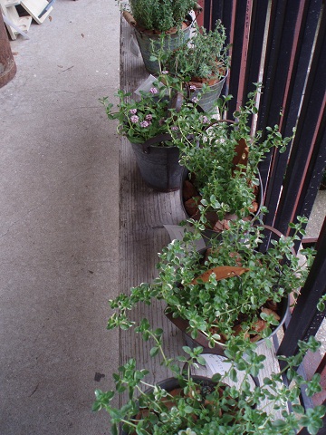 c0214272_22532365.jpg