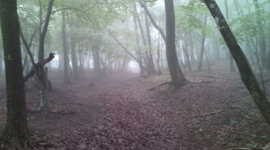 e0004173_16363892.jpg