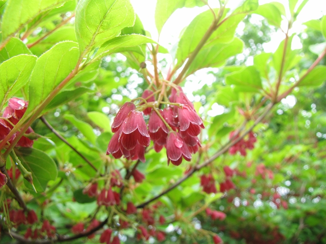 a0191674_1041179.jpg
