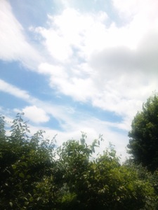 c0123679_122858100.jpg