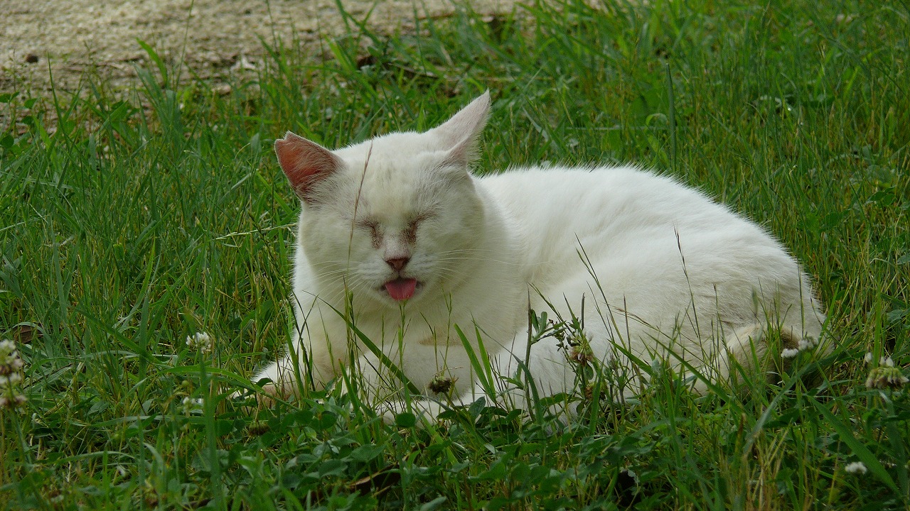 a0185081_2020377.jpg