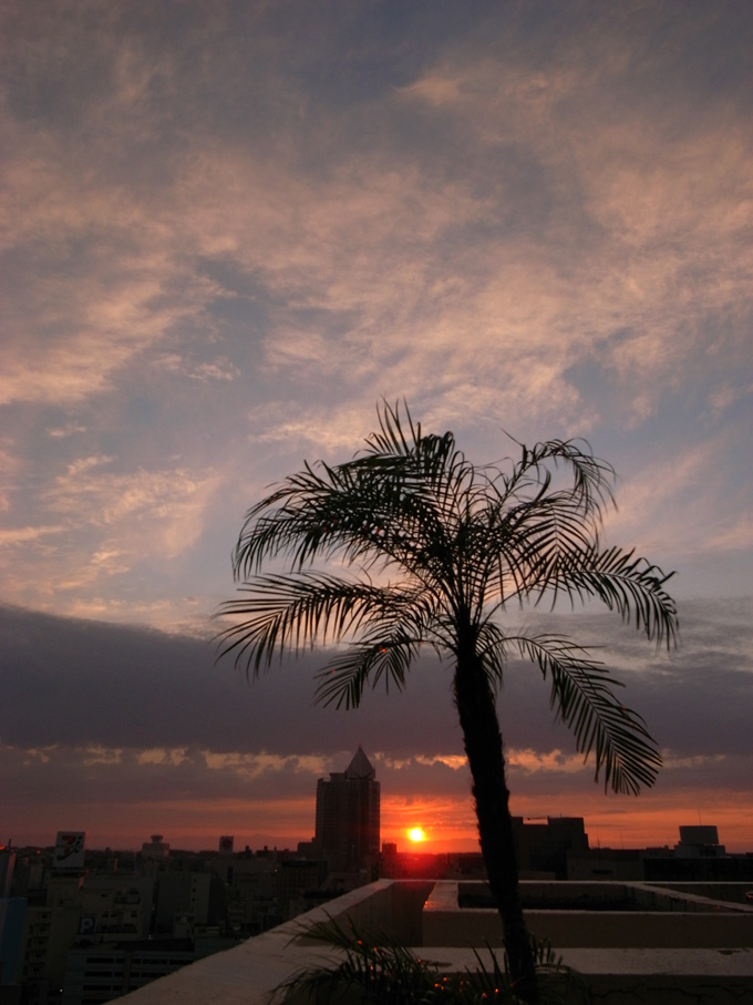 e0082981_229540.jpg