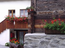 a0142083_14375121.jpg