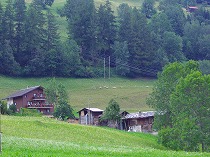a0142083_1438968.jpg