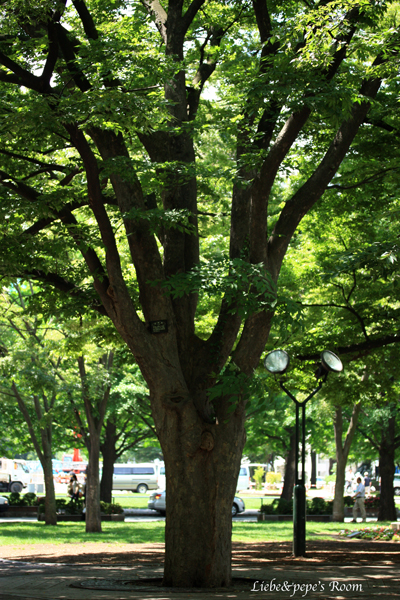 f0001895_15274815.jpg