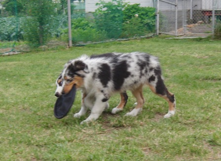 f0077697_1854398.jpg