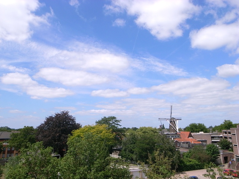f0108399_2310458.jpg