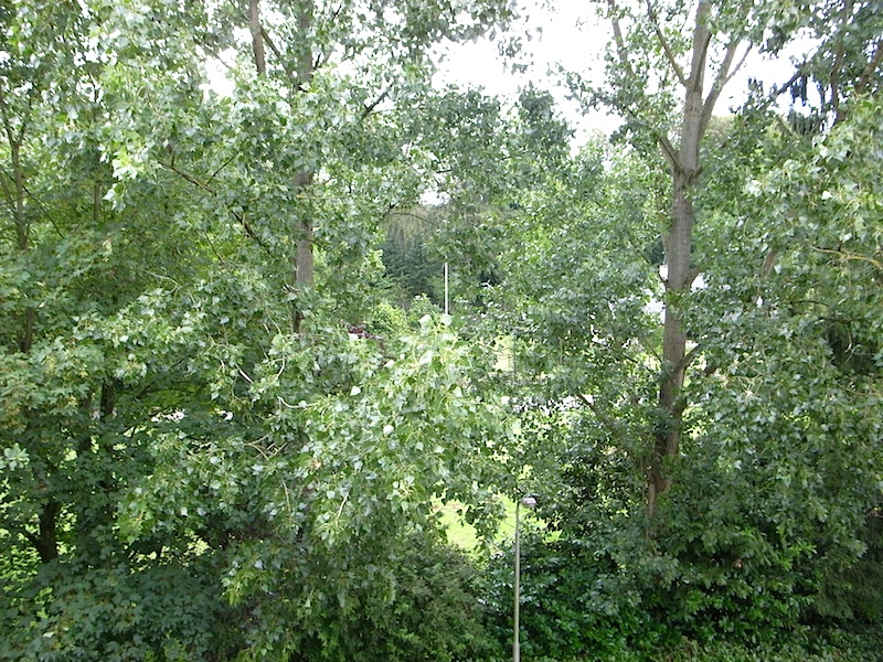 f0108399_2374416.jpg