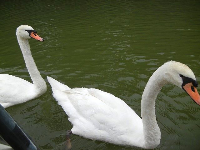 b0187505_1341833.jpg