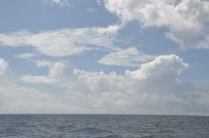 f0048405_1636158.jpg
