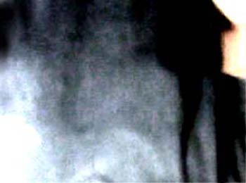 e0103408_1482137.jpg