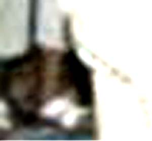 e0103408_5431910.jpg