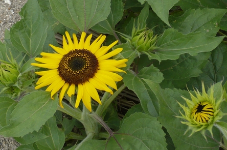 f0221708_8321073.jpg