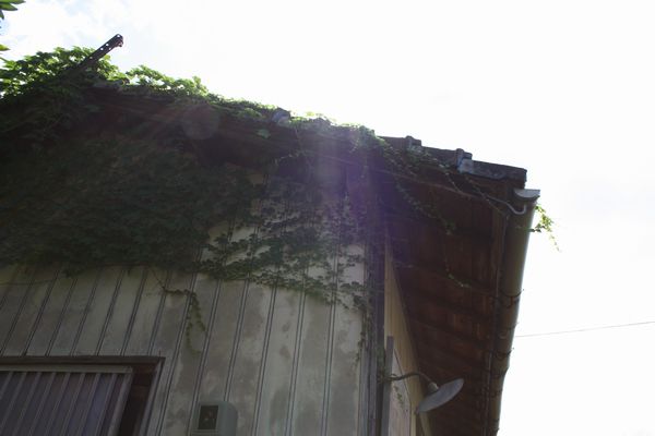 c0116312_13252174.jpg