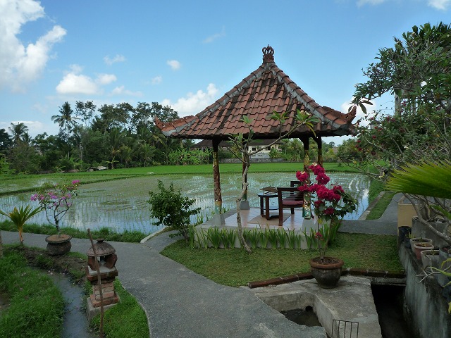 d0224712_853406.jpg