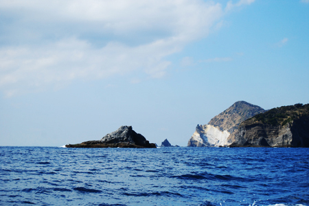 d0113613_1040499.jpg
