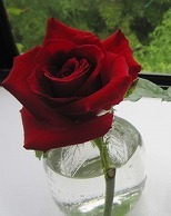 f0227218_13551598.jpg