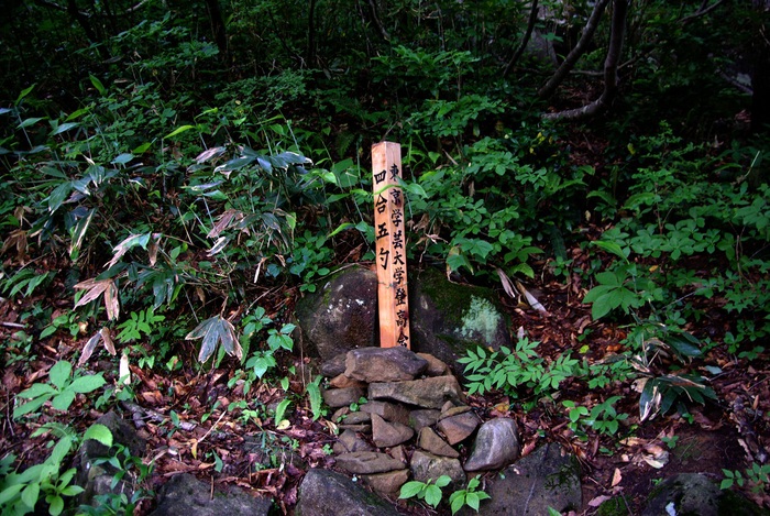 b0062024_8373391.jpg