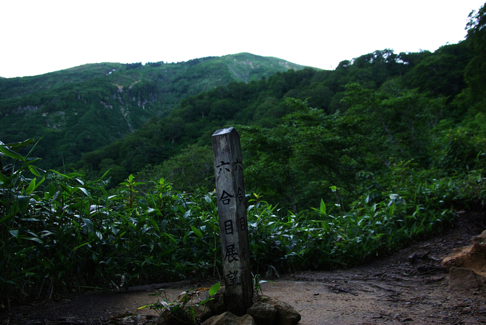 b0062024_8421752.jpg