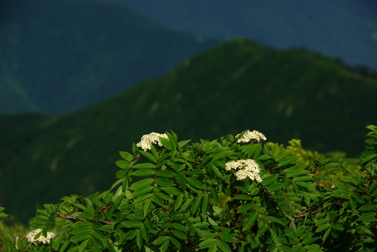 b0062024_9162238.jpg