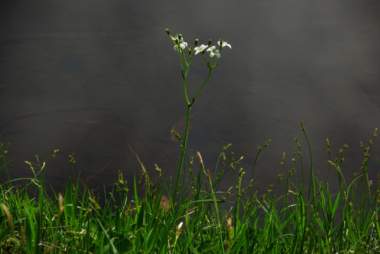 b0062024_9252648.jpg