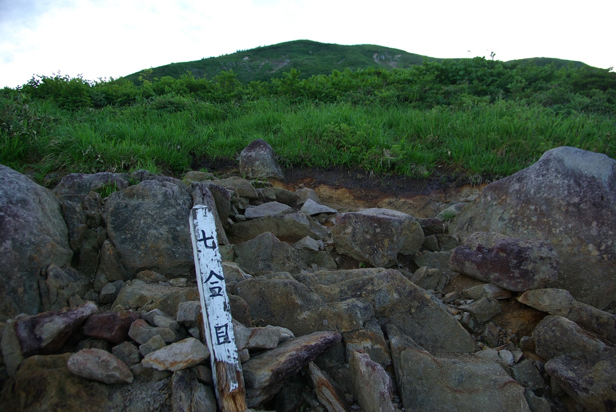 b0062024_92752.jpg