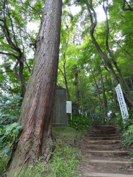 f0238932_21514839.jpg