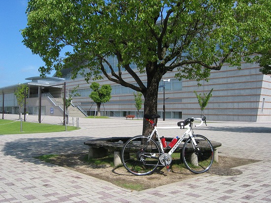 d0001533_12401170.jpg