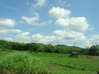 c0100534_2135130.jpg