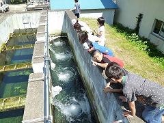 e0069234_18552161.jpg