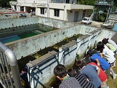 e0069234_18552682.jpg