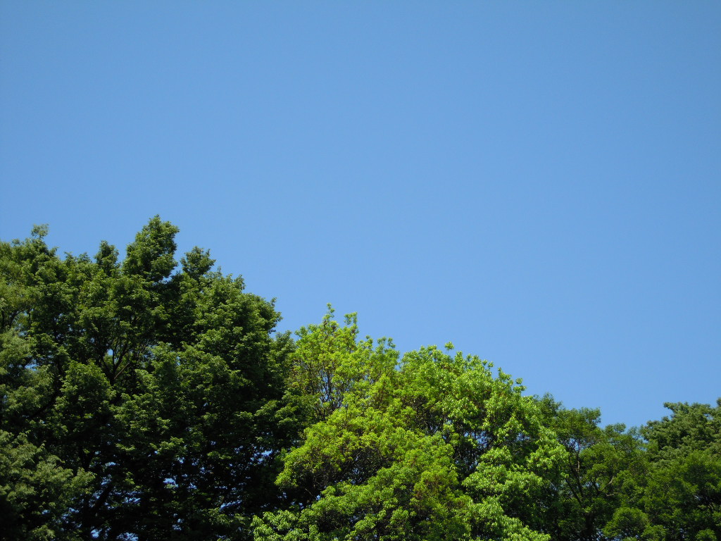 e0081334_2211198.jpg