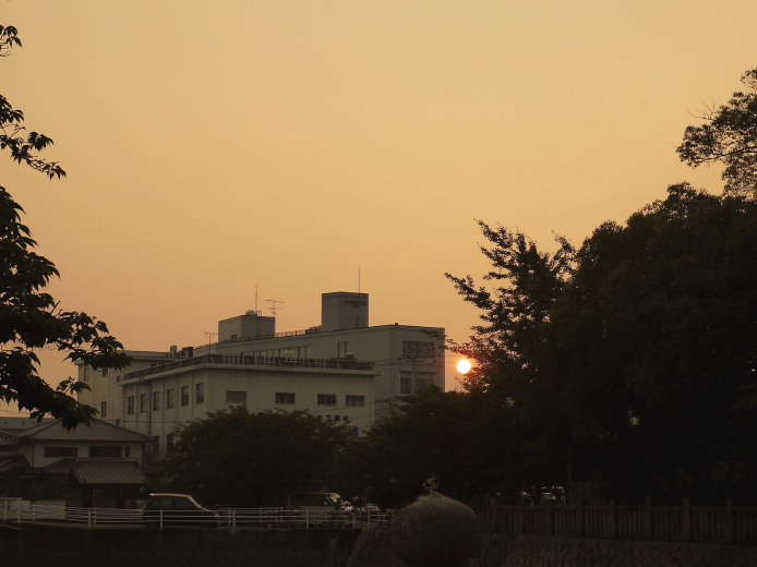 d0241937_8495067.jpg