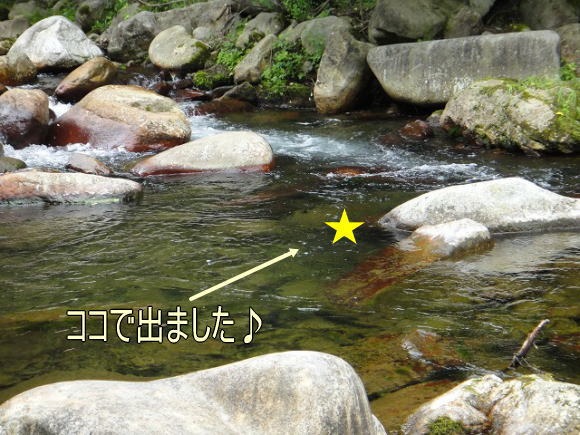 e0202845_14321551.jpg