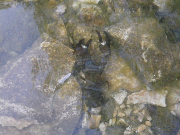 e0202845_211669.jpg