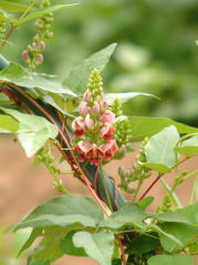 e0159050_23553655.jpg