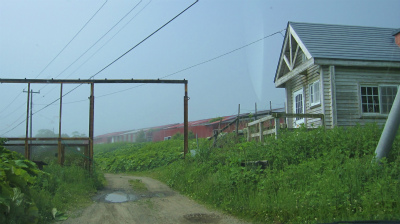 d0031853_6262246.jpg