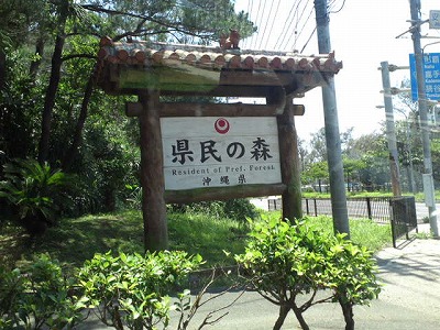 b0160255_11585743.jpg