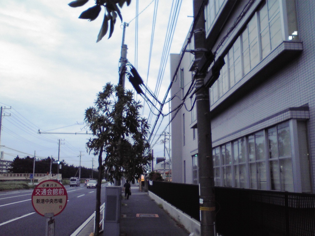 f0057955_2250333.jpg
