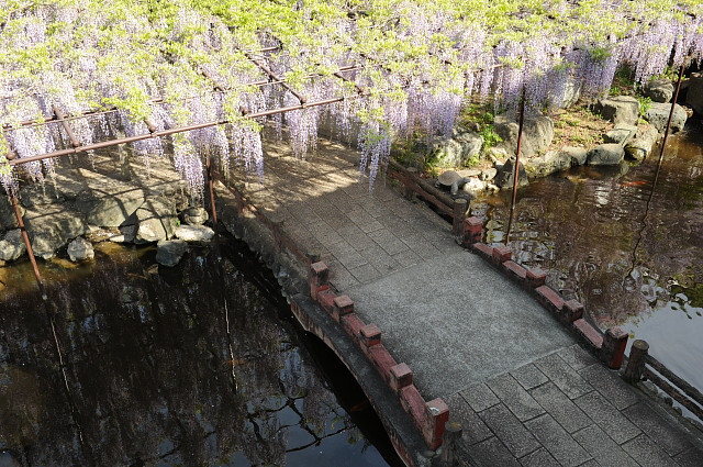 f0222161_13403070.jpg
