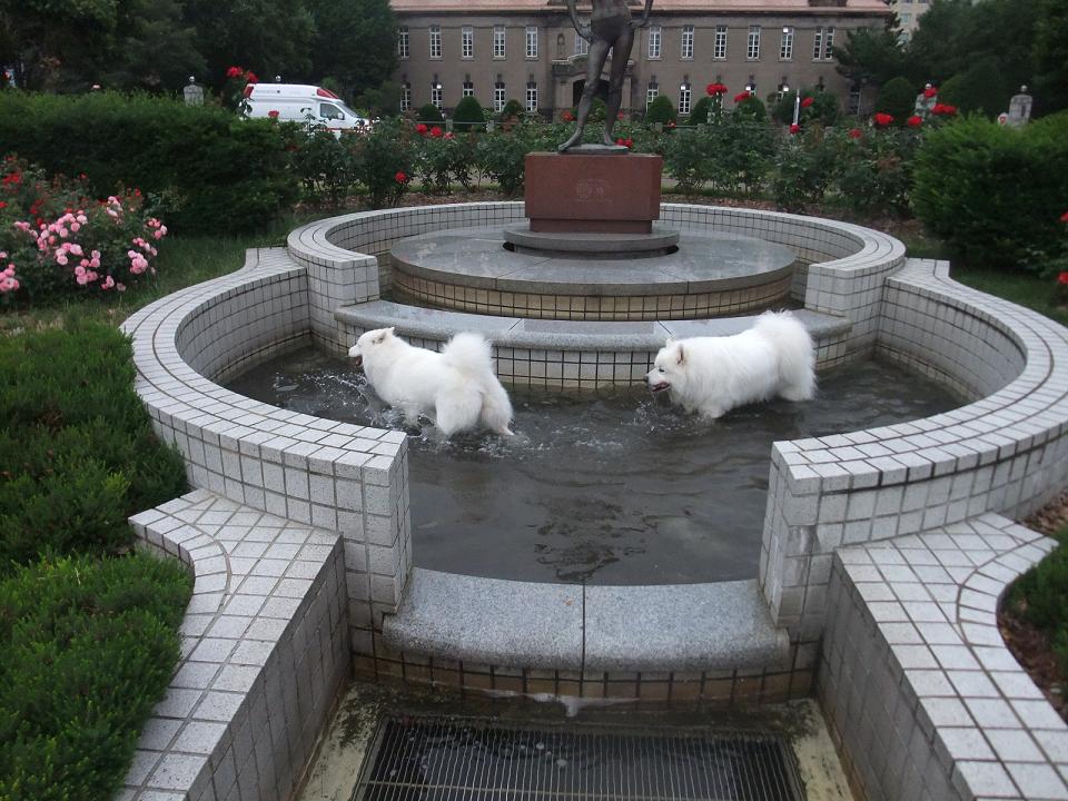 b0102267_21353245.jpg