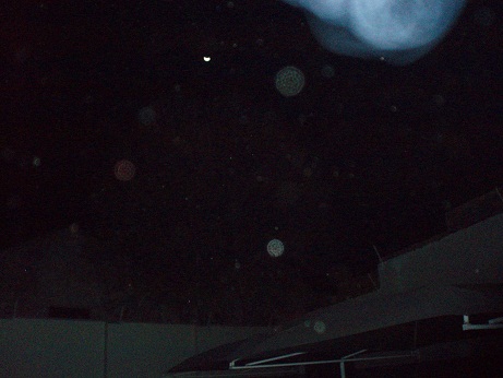 f0064573_1572241.jpg
