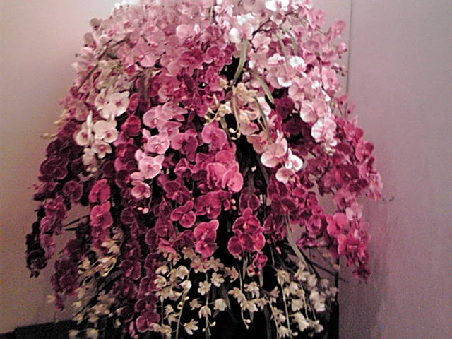 f0003174_15254963.jpg