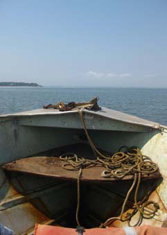f0056476_236096.jpg
