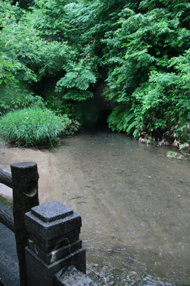 b0090883_18174983.gif