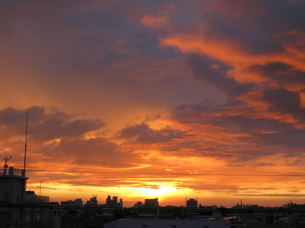 c0064389_20244758.jpg